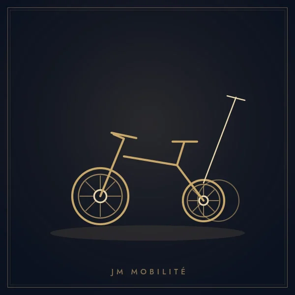 Tricycle Évolutif 4-en-1
